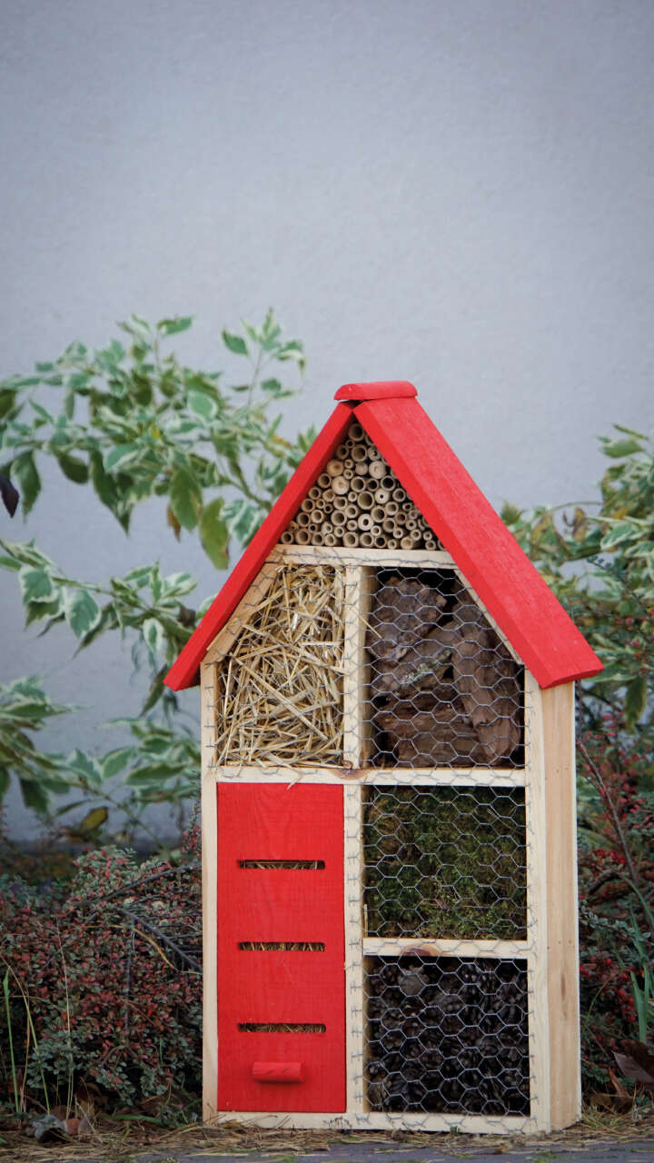 Insektenhotel mit rotem Dach Insektenhotel mit rotem Dach
